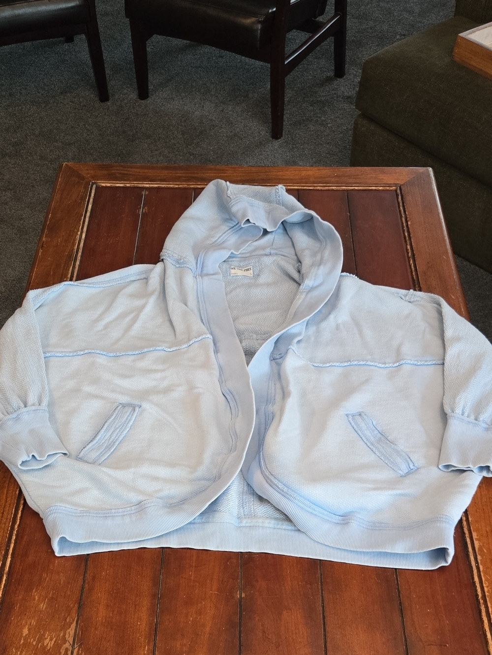 Free People We The People Light Blue Hooded Cropped Sweatshirt